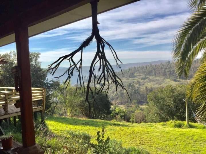 Homestay La Casa De La Nueva Poesia