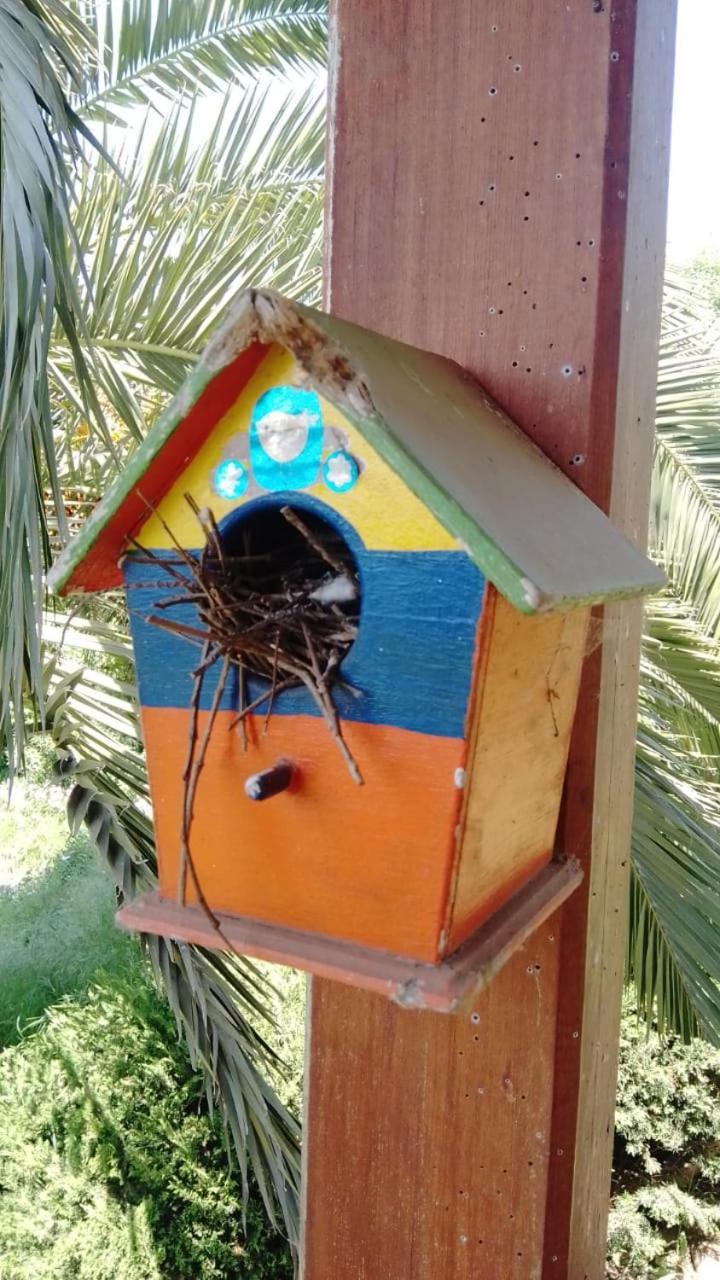 La Casa De La Nueva Poesia *