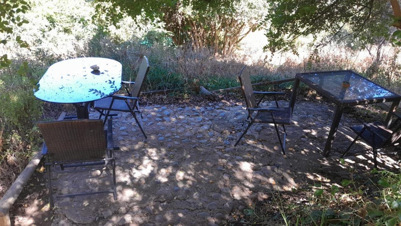 La Casa De La Nueva Poesia Homestay